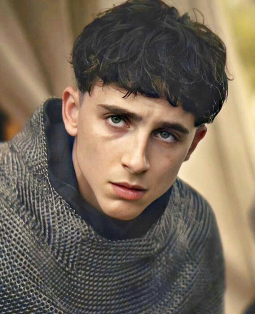 Timothée Chalamet burst fade